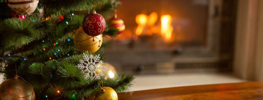 o christmas tree taking care of your christmas trees o christmas tree taking care of your christmas trees